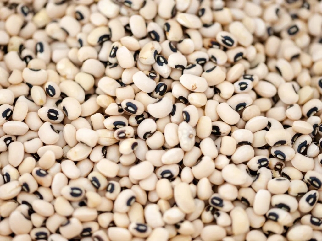 Black-eyed Beans : Nutritional 8 Benefits and Delicious Recipe Ideas